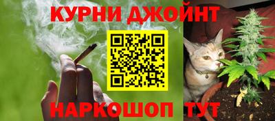 гидра Волгодонск