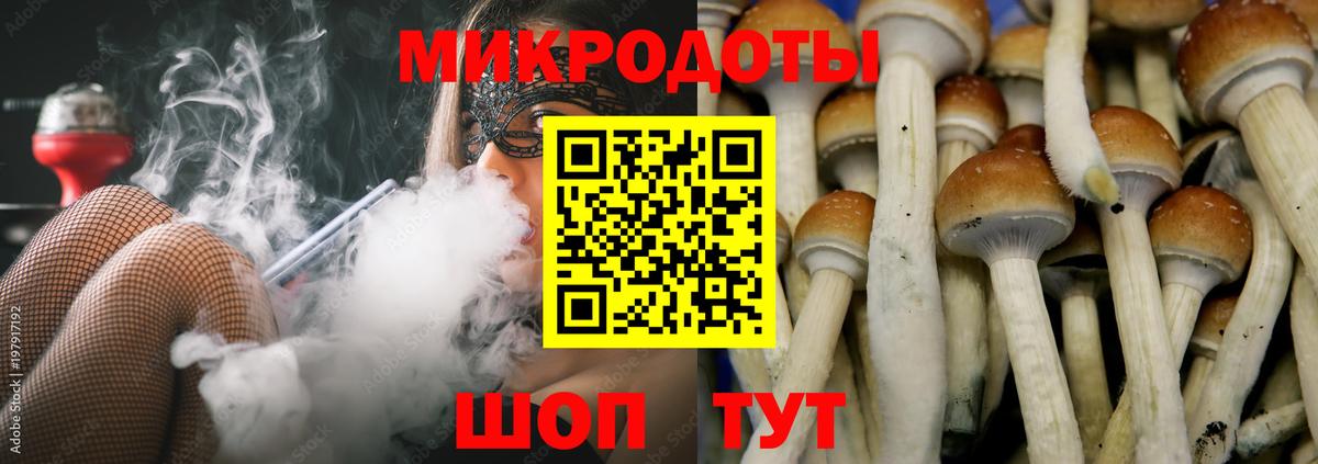 Псилоцибиновые грибы мухоморы  Псилоцибиновые грибы Psilocybine cubensis  Кингисепп  Вход с VPN 